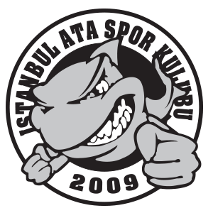 Ata Spor