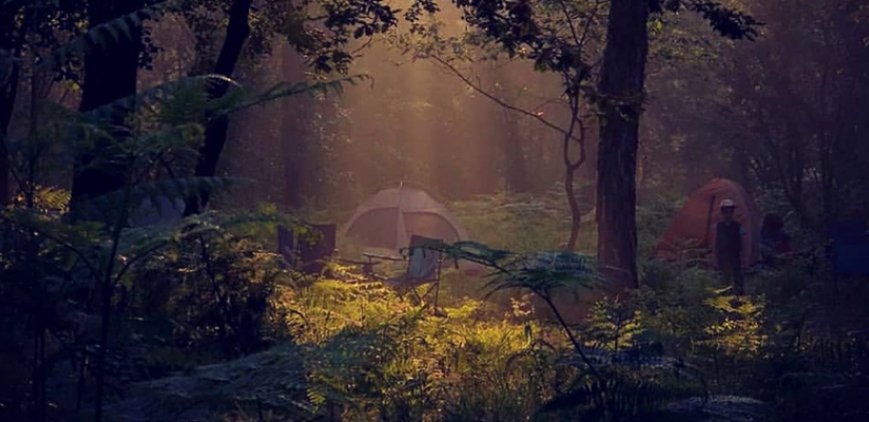 NİŞANTEPE ORMAN PARK KAMPIMIZ 